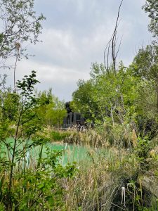 COUCOO GRANDS CEPAGES - CABANE SPA CIGALE